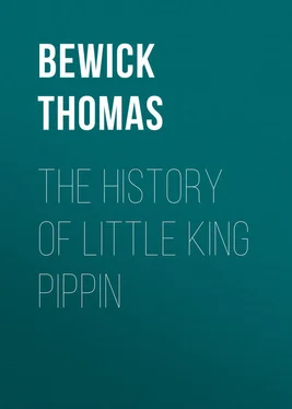 Thomas Bewick The History of Little King Pippin обложка книги