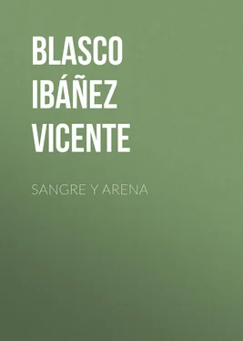 Vicente Blasco Ibáñez Sangre y arena обложка книги