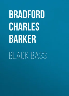 Charles Bradford Black Bass обложка книги