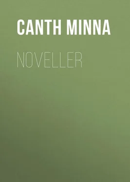 Minna Canth Noveller обложка книги