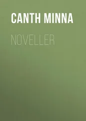 Minna Canth - Noveller