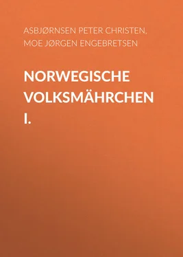 Peter Asbjørnsen Norwegische Volksmährchen I. обложка книги