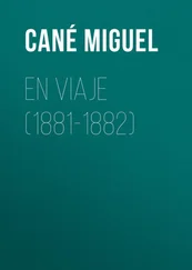 Miguel Cané - En viaje (1881-1882)