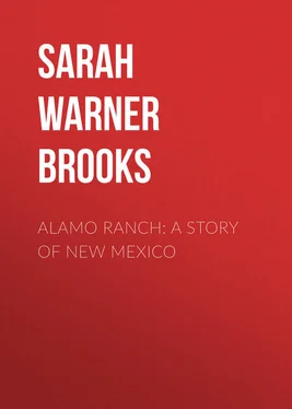 Sarah Brooks Alamo Ranch: A Story of New Mexico обложка книги