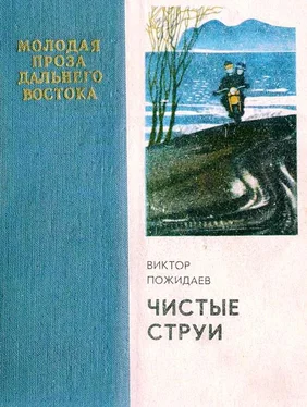 Виктор Пожидаев Чистые струи обложка книги