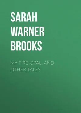 Sarah Brooks My Fire Opal, and Other Tales обложка книги