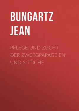 Jean Bungartz Pflege und Zucht der Zwergpapageien und Sittiche обложка книги