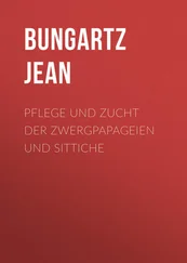 Jean Bungartz - Pflege und Zucht der Zwergpapageien und Sittiche