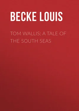 Louis Becke Tom Wallis: A Tale of the South Seas обложка книги