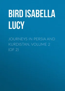 Isabella Bird Journeys in Persia and Kurdistan, Volume 2 (of 2) обложка книги