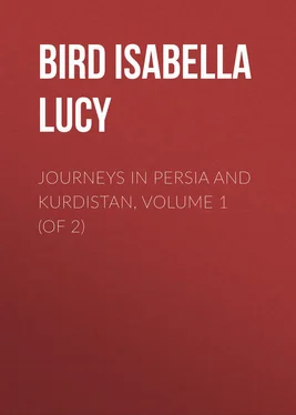 Isabella Bird Journeys in Persia and Kurdistan, Volume 1 (of 2) обложка книги