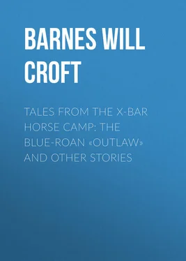 Will Barnes Tales from the X-bar Horse Camp: The Blue-Roan «Outlaw» and Other Stories обложка книги