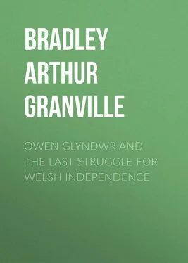 Arthur Bradley Owen Glyndwr and the Last Struggle for Welsh Independence обложка книги