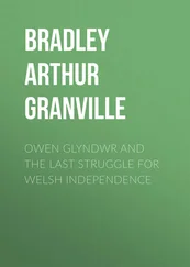 Arthur Bradley - Owen Glyndwr and the Last Struggle for Welsh Independence