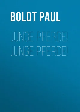 Paul Boldt Junge Pferde! Junge Pferde! обложка книги