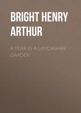 Henry Bright A Year in a Lancashire Garden обложка книги