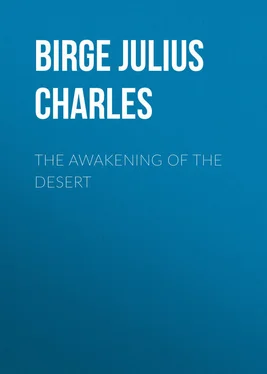 Julius Birge The Awakening of the Desert обложка книги