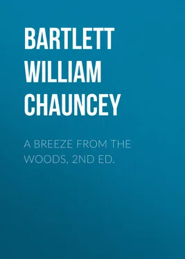 William Bartlett A Breeze from the Woods, 2nd Ed. обложка книги