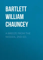William Bartlett - A Breeze from the Woods, 2nd Ed.