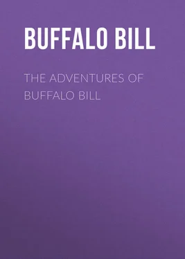 Bill Buffalo The Adventures of Buffalo Bill обложка книги