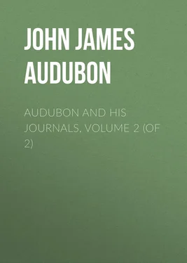 John Audubon Audubon and his Journals, Volume 2 (of 2) обложка книги