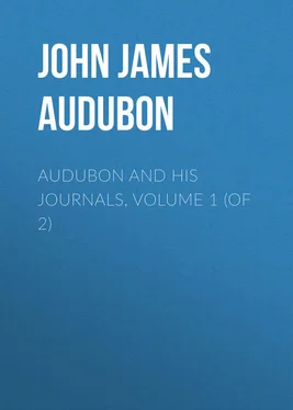 John Audubon Audubon and his Journals, Volume 1 (of 2) обложка книги