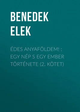 Benedek Elek Édes anyaföldem! : Egy nép s egy ember története (2. kötet) обложка книги