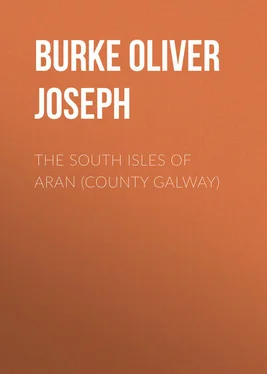 Oliver Burke The South Isles of Aran (County Galway) обложка книги