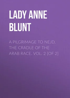 Anne Blunt A Pilgrimage to Nejd, the Cradle of the Arab Race. Vol. 2 [of 2] обложка книги