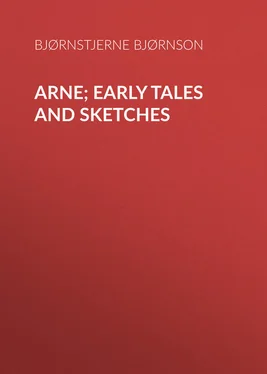 Bjørnstjerne Bjørnson Arne; Early Tales and Sketches обложка книги