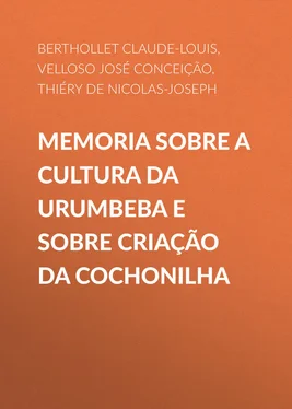 Claude-Louis Berthollet Memoria sobre a cultura da Urumbeba e sobre criação da Cochonilha обложка книги