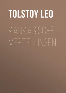 Leo Tolstoy Kaukasische vertellingen обложка книги