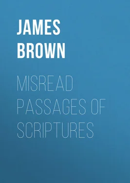 James Brown Misread Passages of Scriptures обложка книги