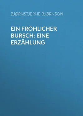 Bjørnstjerne Bjørnson Ein fröhlicher Bursch: Eine Erzählung обложка книги