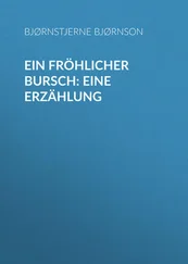 Bjørnstjerne Bjørnson - Ein fröhlicher Bursch - Eine Erzählung