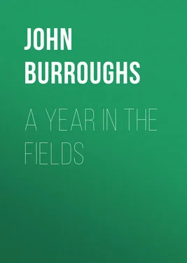 John Burroughs A Year in the Fields обложка книги