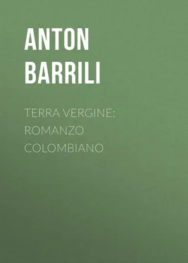 Anton Barrili Terra vergine: romanzo colombiano обложка книги