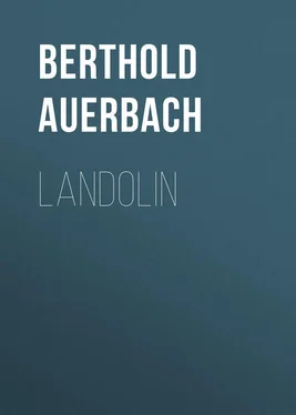 Berthold Auerbach Landolin обложка книги