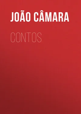 João Câmara Contos обложка книги