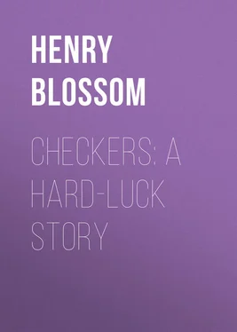 Henry Blossom Checkers: A Hard-luck Story обложка книги