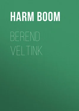 Harm Boom Berend Veltink обложка книги