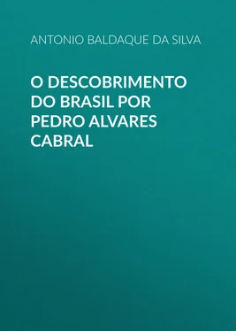 Antonio Baldaque da Silva O descobrimento do Brasil por Pedro Alvares Cabral обложка книги