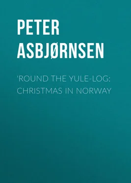 Peter Asbjørnsen 'Round the yule-log: Christmas in Norway обложка книги