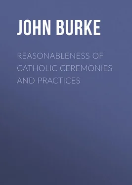 John Burke Reasonableness of Catholic Ceremonies and Practices обложка книги