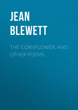 Jean Blewett The Cornflower, and Other Poems обложка книги