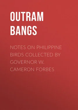 Outram Bangs Notes on Philippine Birds Collected by Governor W. Cameron Forbes обложка книги