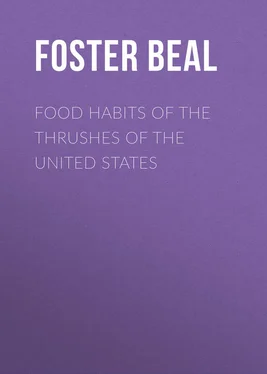 Foster Beal Food Habits of the Thrushes of the United States обложка книги