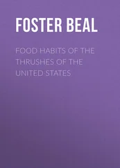 Foster Beal - Food Habits of the Thrushes of the United States