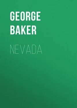 George Baker Nevada обложка книги