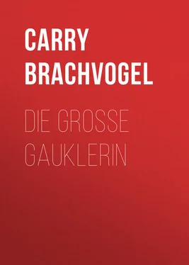 Carry Brachvogel Die große Gauklerin обложка книги